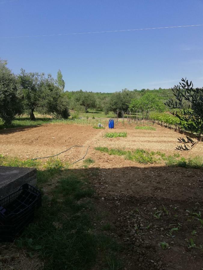 Apartmani Sladic Skradin Εξωτερικό φωτογραφία