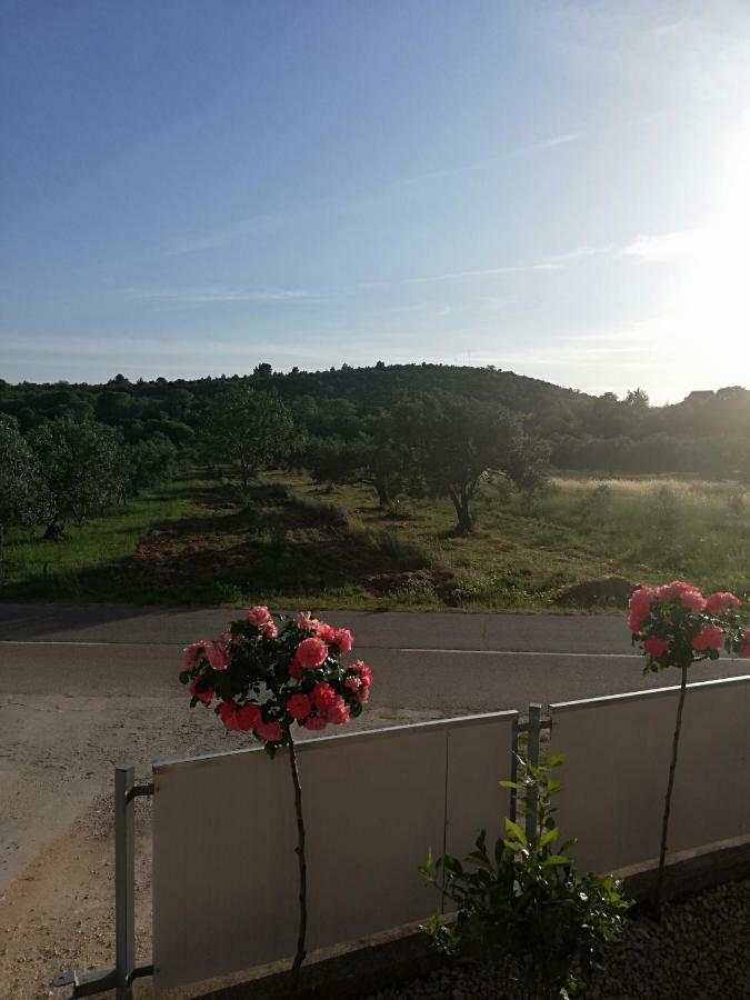 Apartmani Sladic Skradin Εξωτερικό φωτογραφία